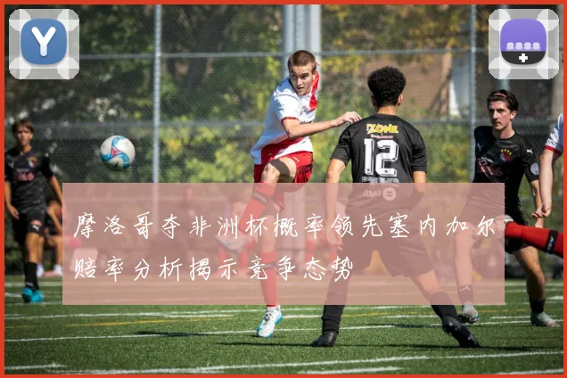 摩洛哥夺非洲杯概率领先塞内加尔赔率分析揭示竞争态势