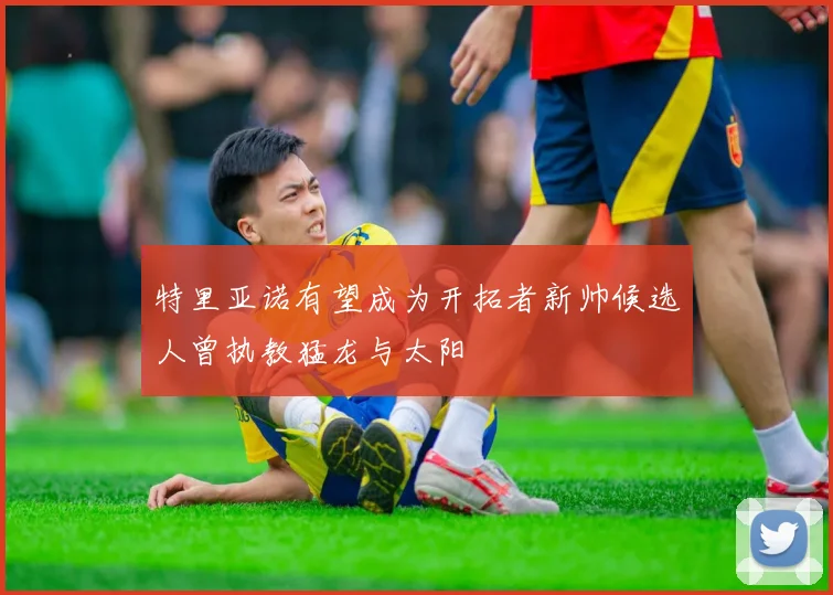 特里亚诺有望成为开拓者新帅候选人曾执教猛龙与太阳